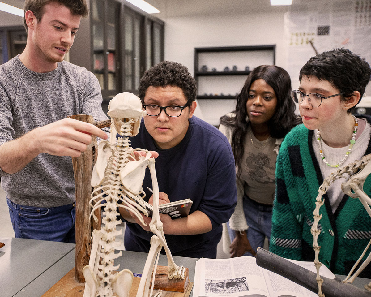 Anthropology, Minor Brooklyn College
