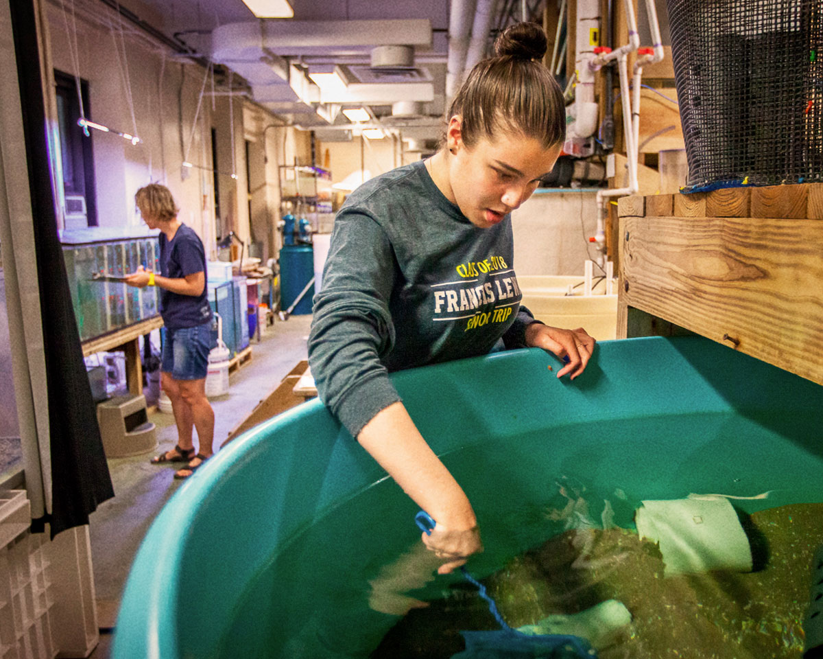 Earth and Environmental Sciences, M.A.