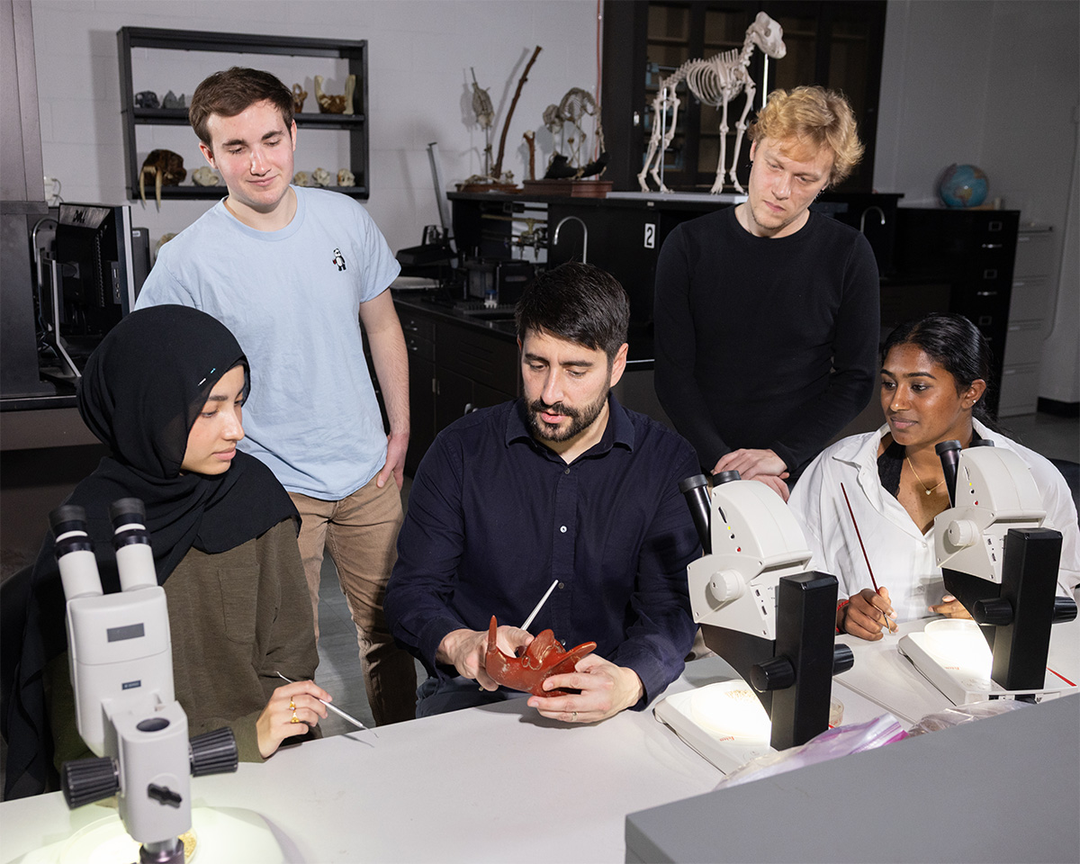 Brooklyn College Professor Stephen Chester (center) points out dental features on an enlarged model of an extinct mammal to undergraduate research assistants (left to right) Aisha Amir, Aidan Smith, Todd Skahill, and Shruthika Srinivasan).at his lab on campus.
