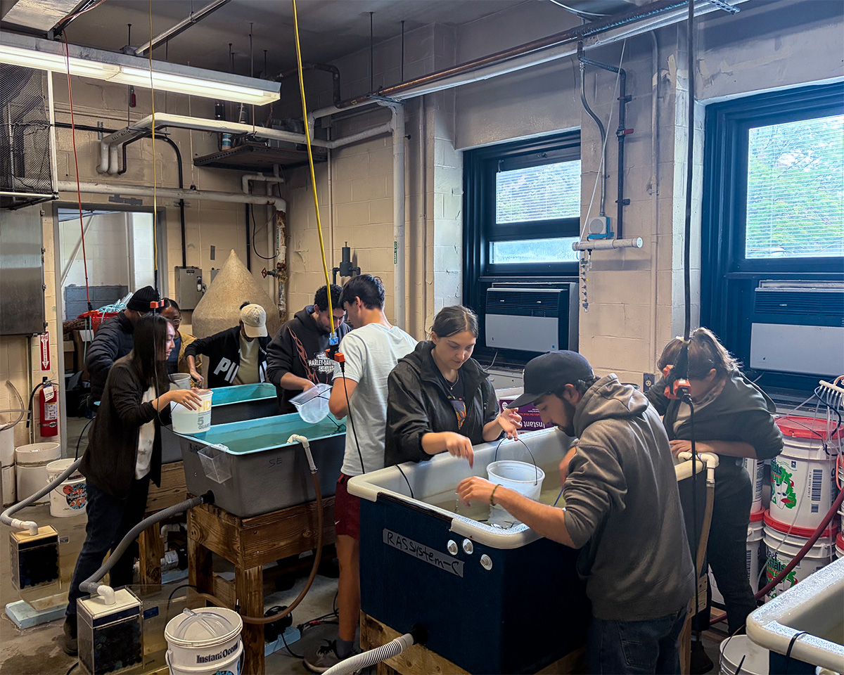 AREAC Launches Experiential Learning Course on Fisheries and Aquaculture Sustainability