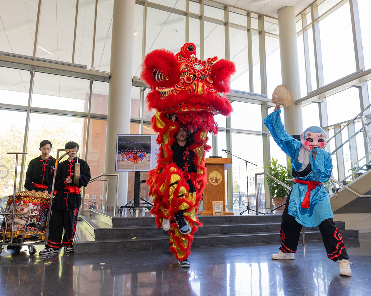 Asian American and Diasporic Studies, Minor