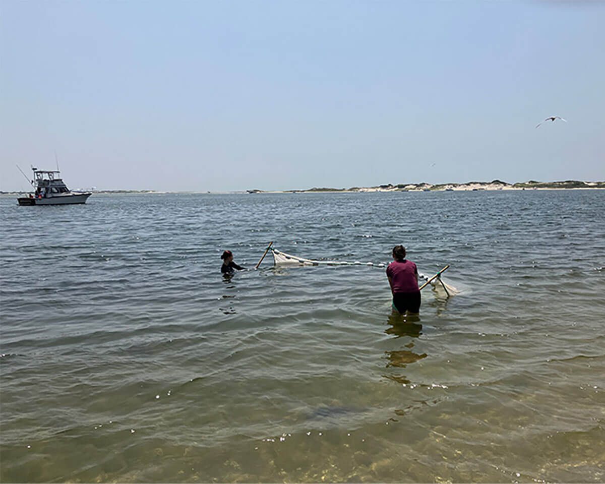 The Wilson Lab takes nearshore fish collections in New York City marine waters. Credit: Tony Wilson