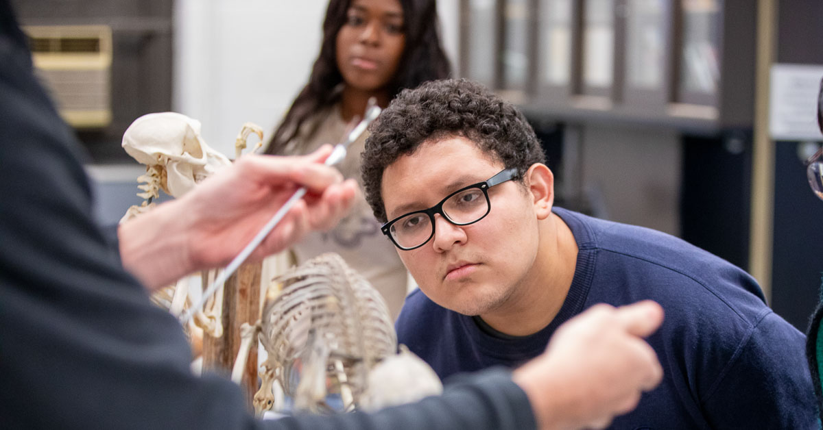 Scholars Program | Brooklyn College