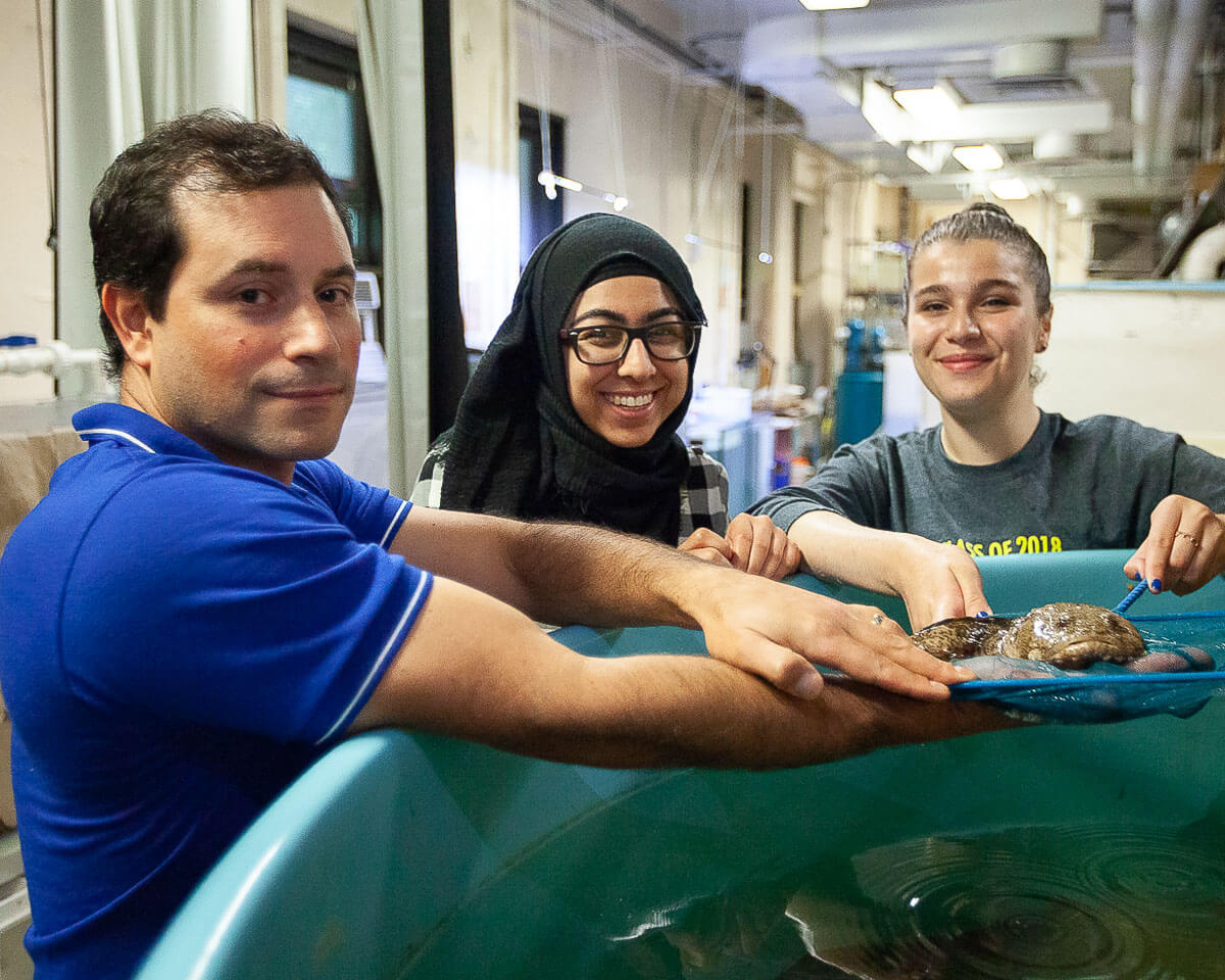 A Song Only a Fish Could Love