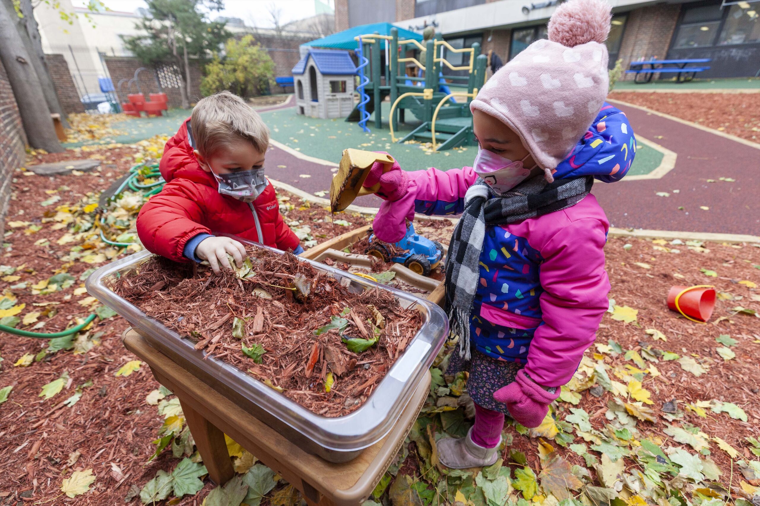 Childhood Education Teacher (1–6) Science and Environmental Education, M.S.Ed.